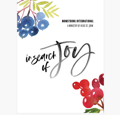 In Search of Joy! Bible Study